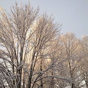 Meet your Posher, Alejandra